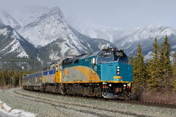 கனடாவில் ரயிலில் பயணிக்கும் போது இப்படியொரு ஆபத்தா!