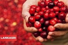 கல்லீரலில் உள்ள கொழுப்புக்களை அகற்ற இந்த ஒரு பழம் சாப்பிட்டா போதுமாம்