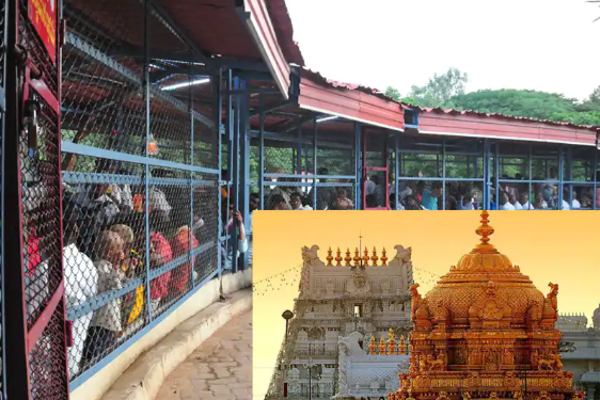 திருப்பதி செல்லவிருக்கும் பக்தர்களே... வரும் 15ம் தேதி வரை பயணத்தை தவிர்க்கவும்! | Avoid Coming Tirupati Till 15Th Says Devasthanam
