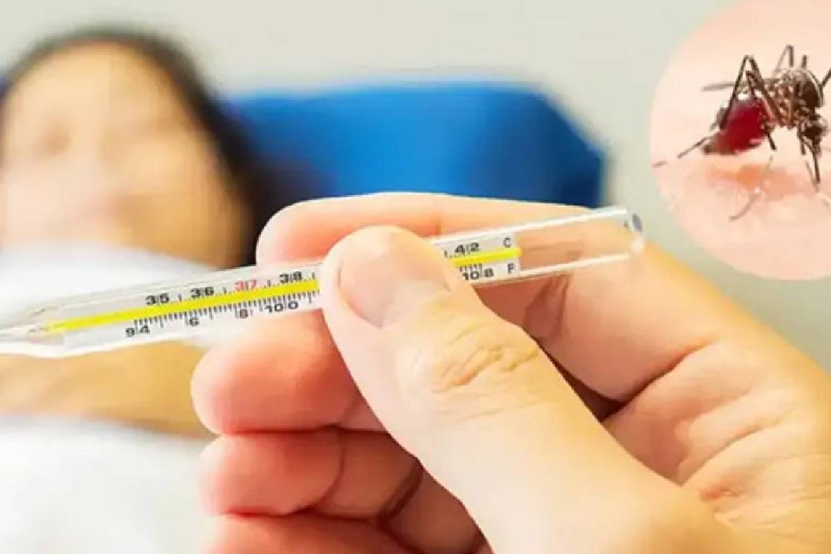 இலங்கையில் தீவிரமடையும் டெங்குதொற்று - நோயாளர்களின் எண்ணிக்கை 83 ஆயிரமாக அதிகரிப்பு | Sri Lanka Dengue Cases Rise To 83 000