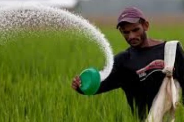 පොහොර නොමිලේ ලබා දෙයි - කාබනික පොහොර භාවිතා කරන්නන්ට මූල්‍ය සහනාධාරයක්..