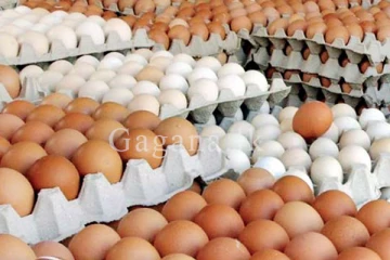 බිත්තර මිල ගැන සුබ ආරංචියක්. - නව මිල මෙන්න.