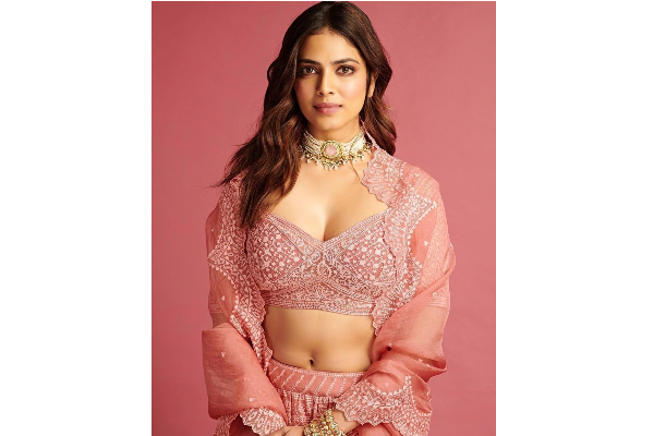 நடிகை மாளவிகா மோகனின் லேட்டஸ்ட் போட்டோஷூட்.. பிங்க் நிற உடையில் கலக்கும் நடிகை | Malavika Mohanan Latest Pick Dress Photoshoot