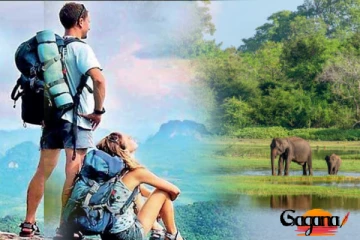 මොකක්ද මේ අරන්ගමුව කියලා කියන්නේ ?