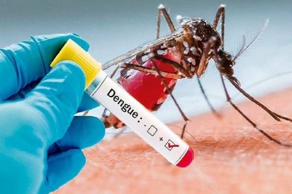 தாண்டவமாடும் டெங்கு - 3 மாவட்டங்களுக்கு ரெட் அலர்ட்! | Red Alert For Dengue Fever Tamilnadu