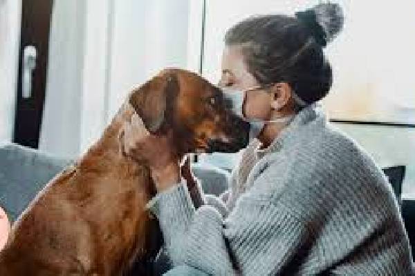 மனிதர்களிடம் இருந்து நாய்க்கு பரவிய குரங்கு அம்மை :  அதிர்சி தகவல் வெளியிட்ட உலக சுகாதார அமைப்பு | After Dog Catches Monkeypox From Human