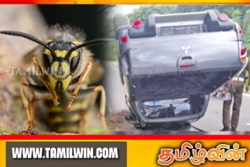 முன்னாள் நாடாளுமன்ற உறுப்பினரின் வாகனத்தை கவிழ்த்த குளவி