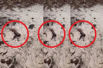 யாழில் வெடிக்காத நிலையில் மீட்கப்பட்ட குண்டு