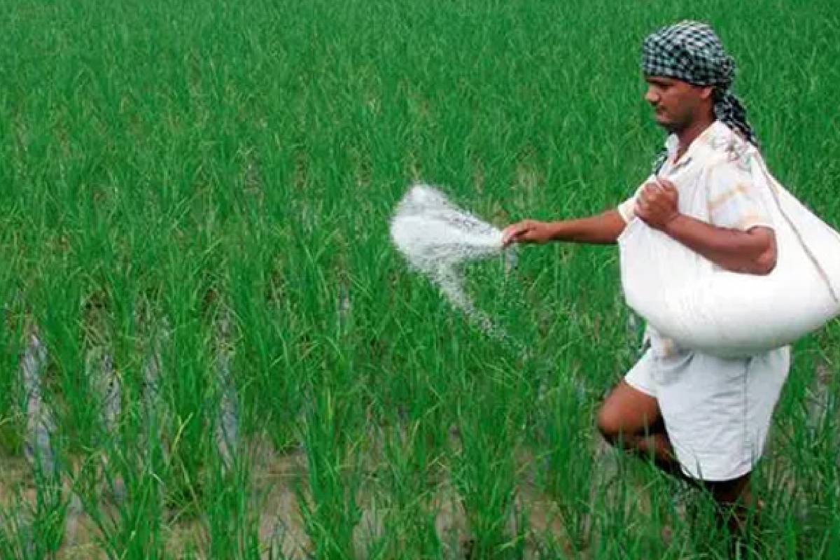 விவசாயிகளுக்கான உர விநியோகம் தொடர்பில் அரசு வெளியிட்ட புதிய தகவல் | Fertilizer Distribution Farmers Government Informa விவசாயிகளுக்கான உர விநியோகம் தொடர்பில் அரசு வெளியிட்ட புதிய தகவல் | Fertilizer Distribution Farmers Government Informa
