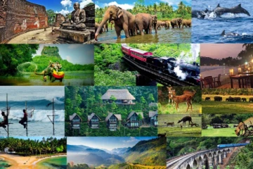 2 மில்லியன் சுற்றுலாப் பயணிகளை வரவேற்ற இலங்கை - கொண்டாடும் சுற்றுலா துறை