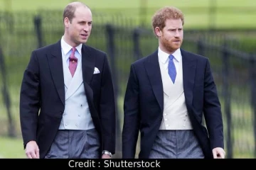 இளவரசர் வில்லியமுடைய ஆண்டு வருமானம் 23 மில்லியன் பவுண்டுகள்: ஹரிக்கு ஏன் பாரபட்சம்?