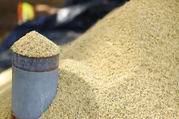 களஞ்சியசாலைகளில் காணாமல் போயுள்ள நெல் தொகை தொடர்பில் வெளியான தகவல்