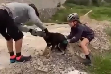 காமெடி வடிவேலு போல பாட்டிலில் கவுந்து கொண்ட நாயின் தலை... இணையத்தில் தீயாய் பரவும் காட்சி