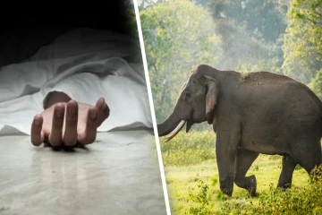 தமிழர் பகுதியில் மூன்று பிள்ளைகளின் தாய்க்கு அதிகாலையில் அரங்கேறிய அவலம்