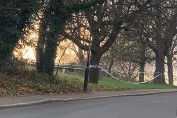 பட்டப்பகலில் நடந்த கொடூரம்! பூங்காவில் 37 வயது பிரித்தானிய பெண்ணுக்கு நடந்தது என்ன? அதிரவைக்கும் சம்பவம்