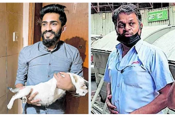 மாடியில் இருந்து விழுந்த பூனை - காப்பாற்றியவர்களுக்கு ரூ.10 லட்சம் பரிசு