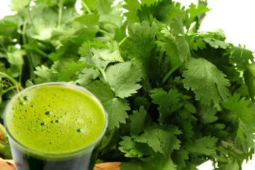 அதிக மருத்துவ குணங்களை கொண்ட கொத்தமல்லி: எந்தெந்த நோய்க்கு உதவும் தெரியுமா?