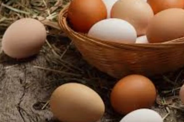 බිත්තර, නව මිල ගණන් සහිත ගැසට්ටුව නිකුත් වෙයි..