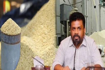 அரிசி மற்றும் நெல் கையிருப்பு அறிக்கை ஜனாதிபதியிடம் கையளிப்பு