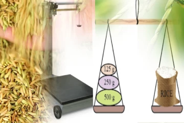 சட்டவிரோத நெல் கொள்வனவு : வியாபாரிகளின் தராசுகள் பறிமுதல்