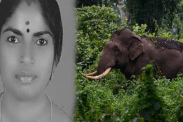 மகளின் கண்முன்னே விரட்டி தாக்கிய காட்டு யானை - தாய் பரிதாப பலி!