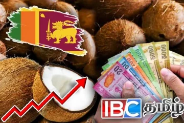 நாட்டில் மீண்டும் உச்சம் தொட்ட தேங்காய் விலை