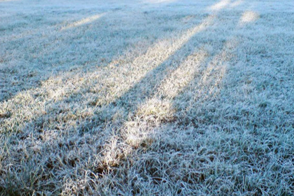 இலங்கை முழுவதும் நிலவும் கடும் குளிரான காலநிலை தொடர்பில் வெளியான தகவல் | Reason For Cold Weather In Sri Lanka
