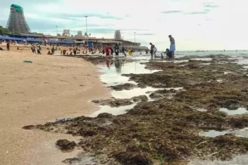 திருச்செந்தூரில் நடந்த வினோதம்; கண்முன்னே மாறிய காட்சிகள் - என்ன நடந்தது?