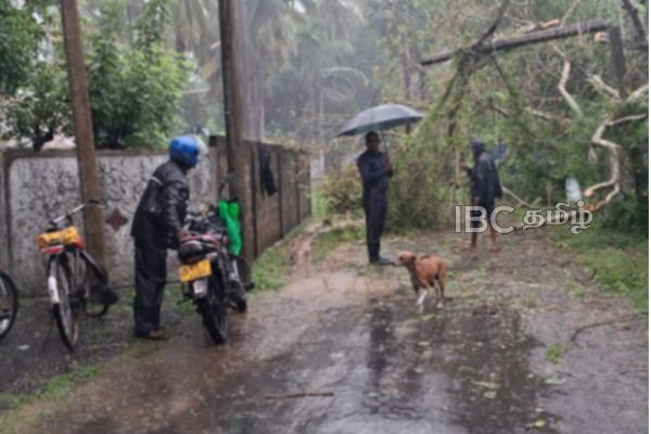 யாழில். நிலவும் மோசமான காலநிலை...! முறிந்து விழுந்த மரத்தால் போக்குவரத்து தடை | Heavy Rain And Thunder Weather In Jaffna Today யாழில். நிலவும் மோசமான காலநிலை...! முறிந்து விழுந்த மரத்தால் போக்குவரத்து தடை | Heavy Rain And Thunder Weather In Jaffna Today
