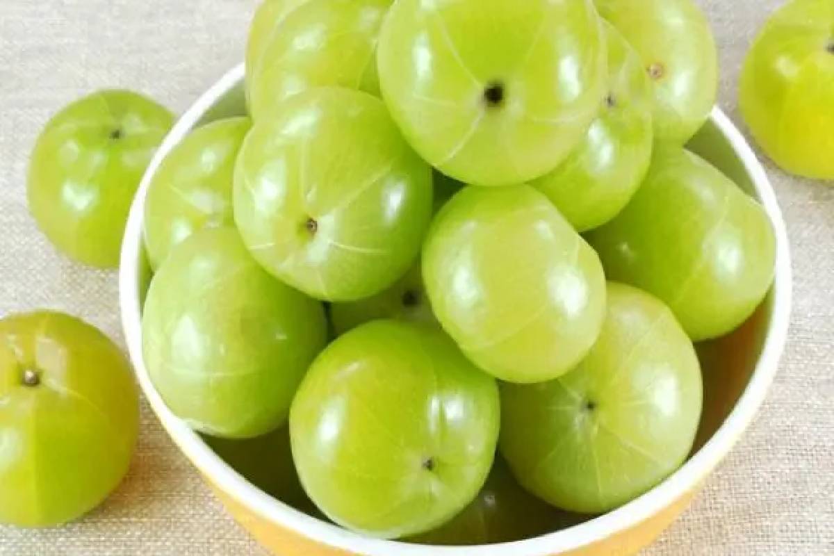 காலையில் வெறும் வயிற்றில் சாப்பிட வேண்டிய டாப் 15 உணவுகள் – மருத்துவர் கூறும் தகவல்! | What Are 15 Best Breakfast Foods