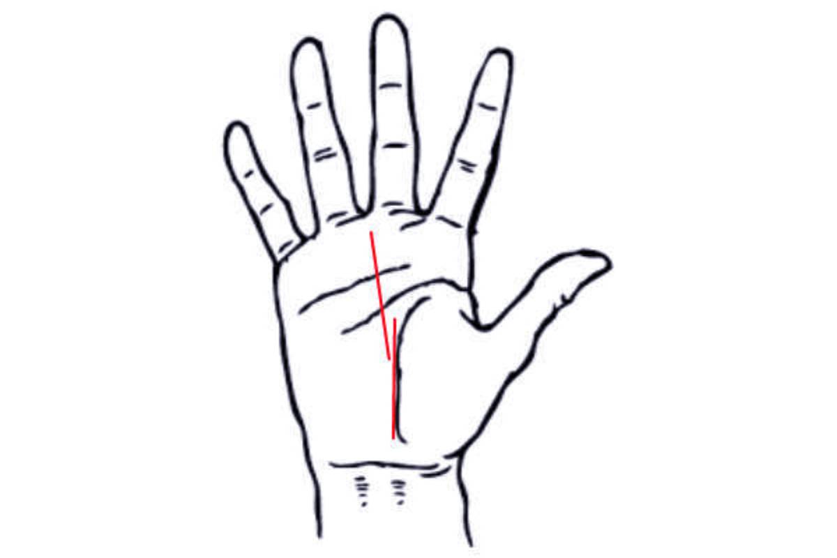 கையில் இந்த 3 ரேகை அமைப்பு இருக்கிறதா? இவர்கள் மன்னர்களை போல வாழ்வார்கள் | Lucky Luck Line Astrology They Live Like Kings கையில் இந்த 3 ரேகை அமைப்பு இருக்கிறதா? இவர்கள் மன்னர்களை போல வாழ்வார்கள் | Lucky Luck Line Astrology They Live Like Kings