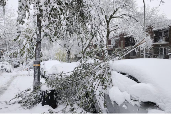 டொரண்டோவில் பனிப்பொழிவு குறித்து எச்சரிக்கை | Toronto Expecting 2 4 Cm Of Snow Overnight
