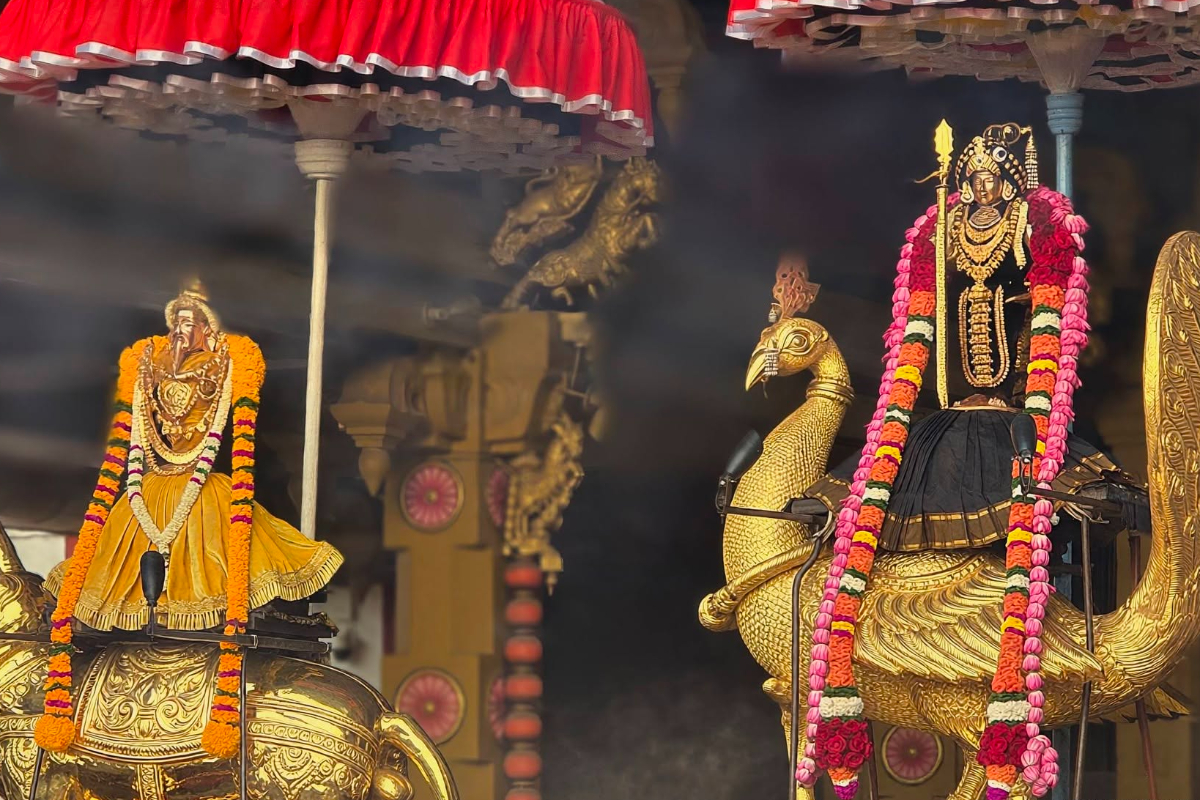 வரலாற்று சிறப்பு மிக்க நல்லூர் கந்தன் ஆலயத்தில் இன்று மாம்பழ திருவிழா! | Mango Festival At Nallur Kandaswamy Temple