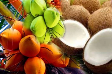 தேங்காய் மற்றும் இளநீர் விலை சடுதியாக அதிகரிப்பு