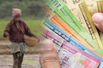 பொட்டாசியம் மூரியேட் உரத்தின் விலை குறைப்பு