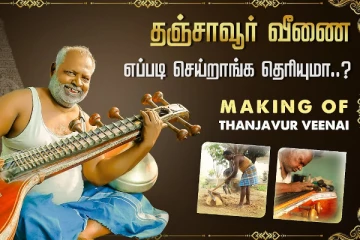 தஞ்சாவூர் வீணையின் இசைக்குபின் இருக்கும் ரகசியம்!