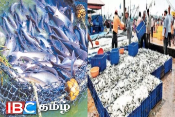 உலக மீன் ஏற்றுமதியில் இரண்டாவது இடத்திற்கு முன்னேறிய இந்தியா