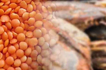 விசேட வர்த்தக பண்ட வரி தொடர்பில் நிதி அமைச்சு விளக்கம்