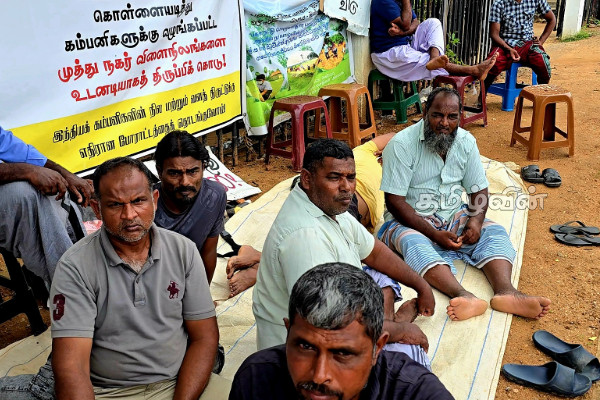 37 ஆவது நாளாகவும் சத்தியாக் கிரகப் போராட்டத்தில் ஈடுபடும் முத்துநகர் விவசாயிகள் | Muthunagar Farmers Satyagraha Protest