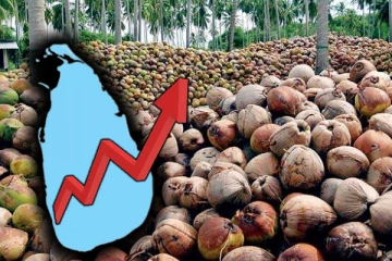 நாட்டில் நிலவும் தேங்காய் தட்டுப்பாடு; விலையில் ஏற்பட்டுள்ள மாற்றம்