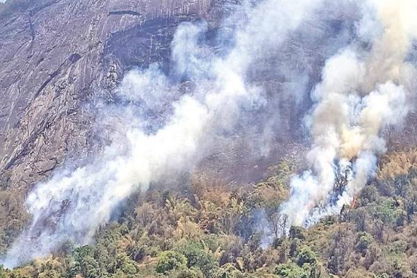 ஹந்தான வனப்பகுதியில் தீ விபத்து | Fire Accident In Handana Forest