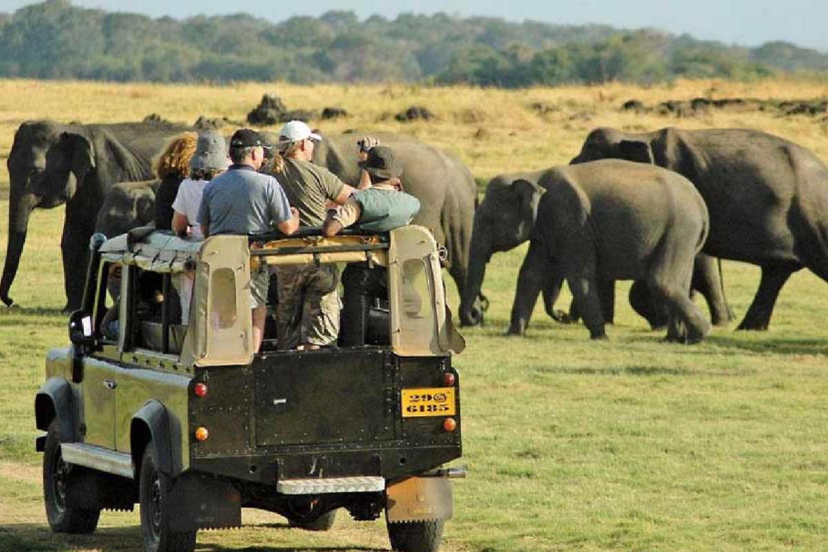 கடும் வெப்பநிலை; யால தேசிய வனத்தை மூட தீர்மானம்! | Heat Wave Temporarily Close Yala National Park