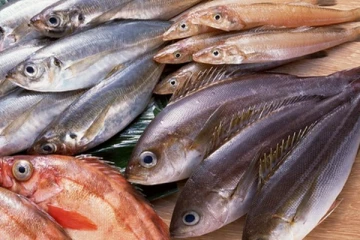 மீன்களின் விலையில் வீழ்ச்சி