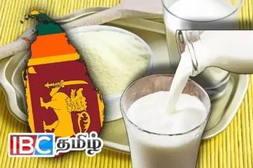 விரைவில் சந்தைக்கு வருகிறது புதிய பால்மா