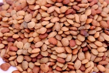 உணவில் அடிக்கடி கொள்ளு சேர்த்து சாப்பிடுவதனால் கிடைக்கும் பயன்கள் என்ன தெரியுமா?