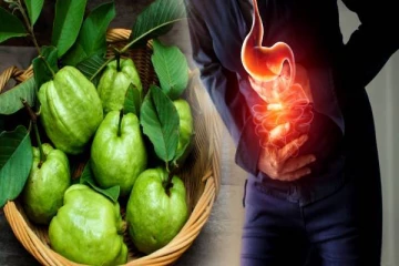 கொய்யா சாப்பிட சரியான நேரம் எதுன்னு தெரியுமா? காரணம் இது தான்!