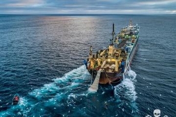 பிரான்ஸ் கடல்பகுதியில் வீணாக கடலில் கொட்டப்பட்ட 100,000 மீன்கள்... அதிர்ச்சியை ஏற்படுத்தியுள்ள ஒரு சம்பவம்