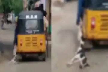 திருச்சியில் கொடூரம் - நாயை அடித்து ஆட்டோவில் இழுத்துச் சென்ற போதை ஆசாமிகள்