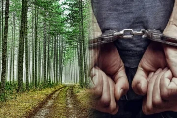 காடுகளுக்கு தீ வைப்பவர்களை உடன் கைது செய்ய பொதுமக்கள் கோரிக்கை