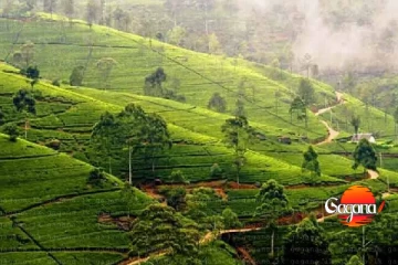 නුවරඑළිය හිමෙන් වැසෙයිද? අවම උෂ්ණත්වය නුවරඑළියට